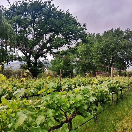 Cabernet Cottage Be Still And Know Franschhoek Bagian luar foto