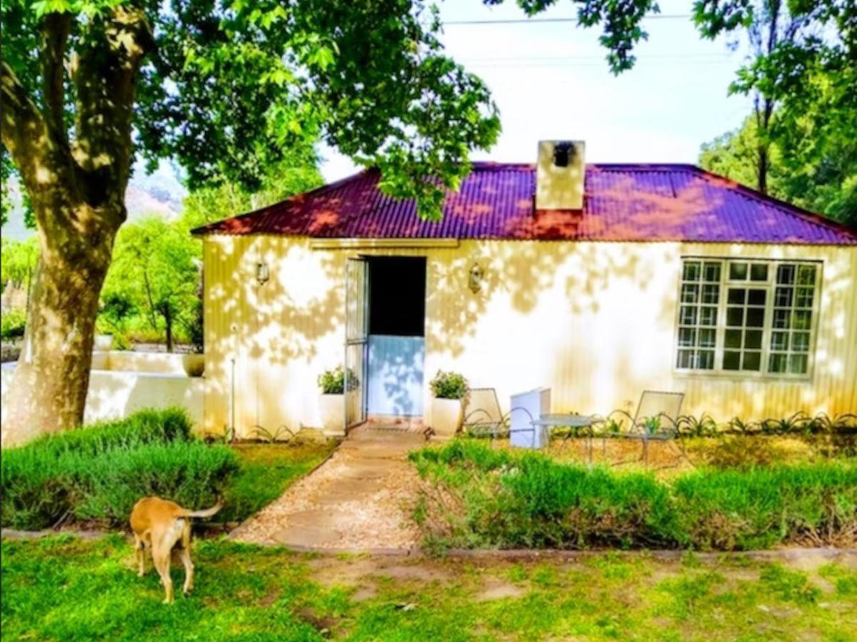 Cabernet Cottage Be Still And Know Franschhoek Bagian luar foto