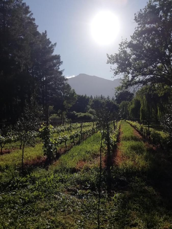 Cabernet Cottage Be Still And Know Franschhoek Bagian luar foto