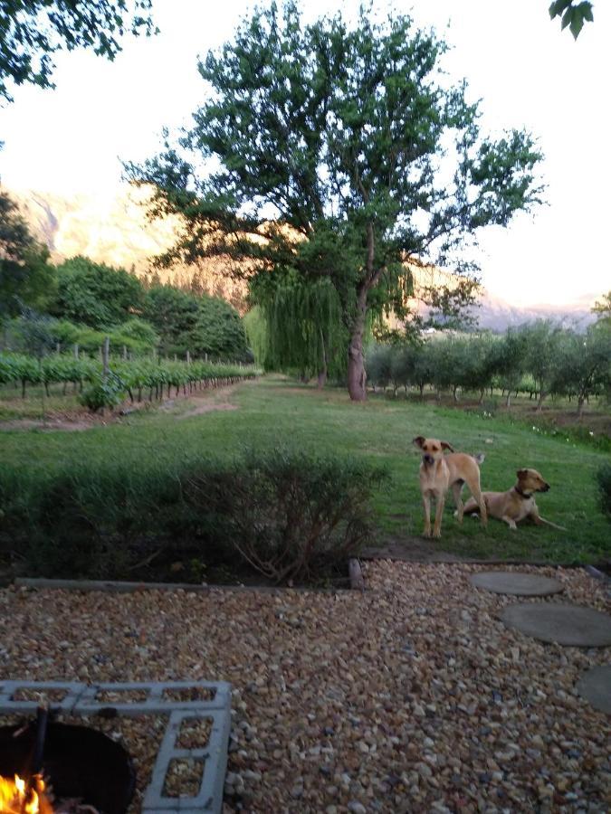 Cabernet Cottage Be Still And Know Franschhoek Bagian luar foto