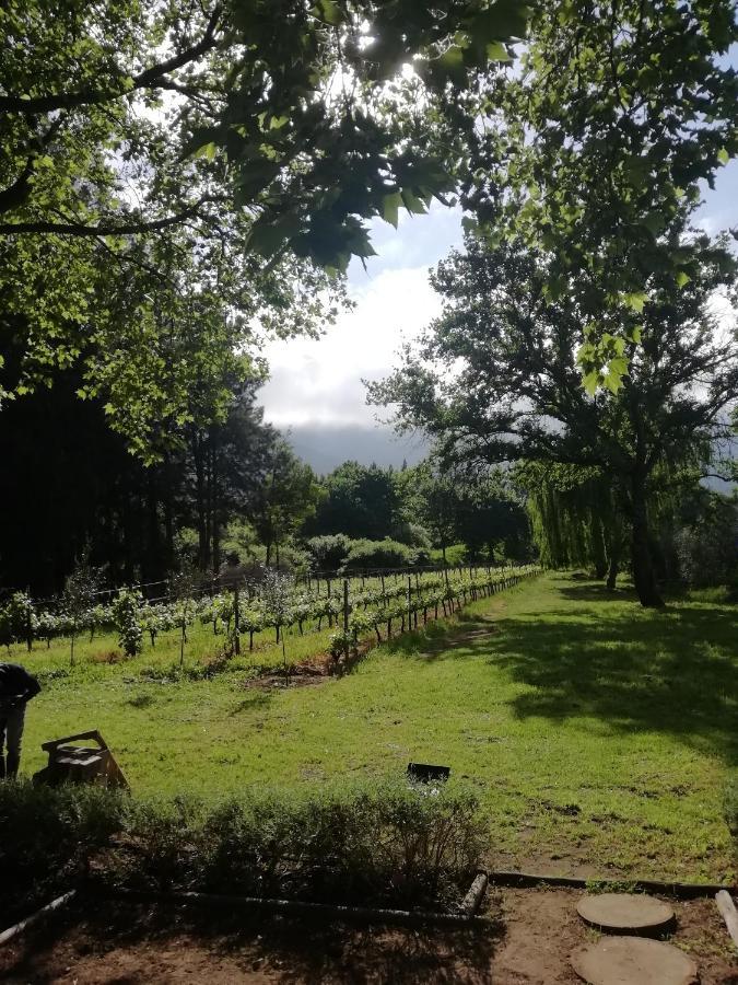 Cabernet Cottage Be Still And Know Franschhoek Bagian luar foto