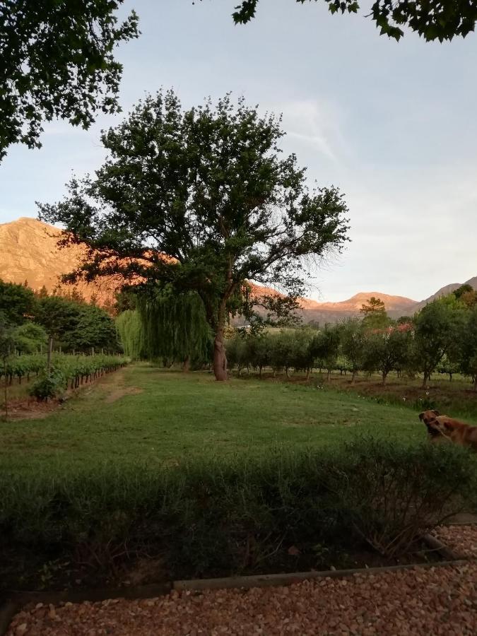 Cabernet Cottage Be Still And Know Franschhoek Bagian luar foto