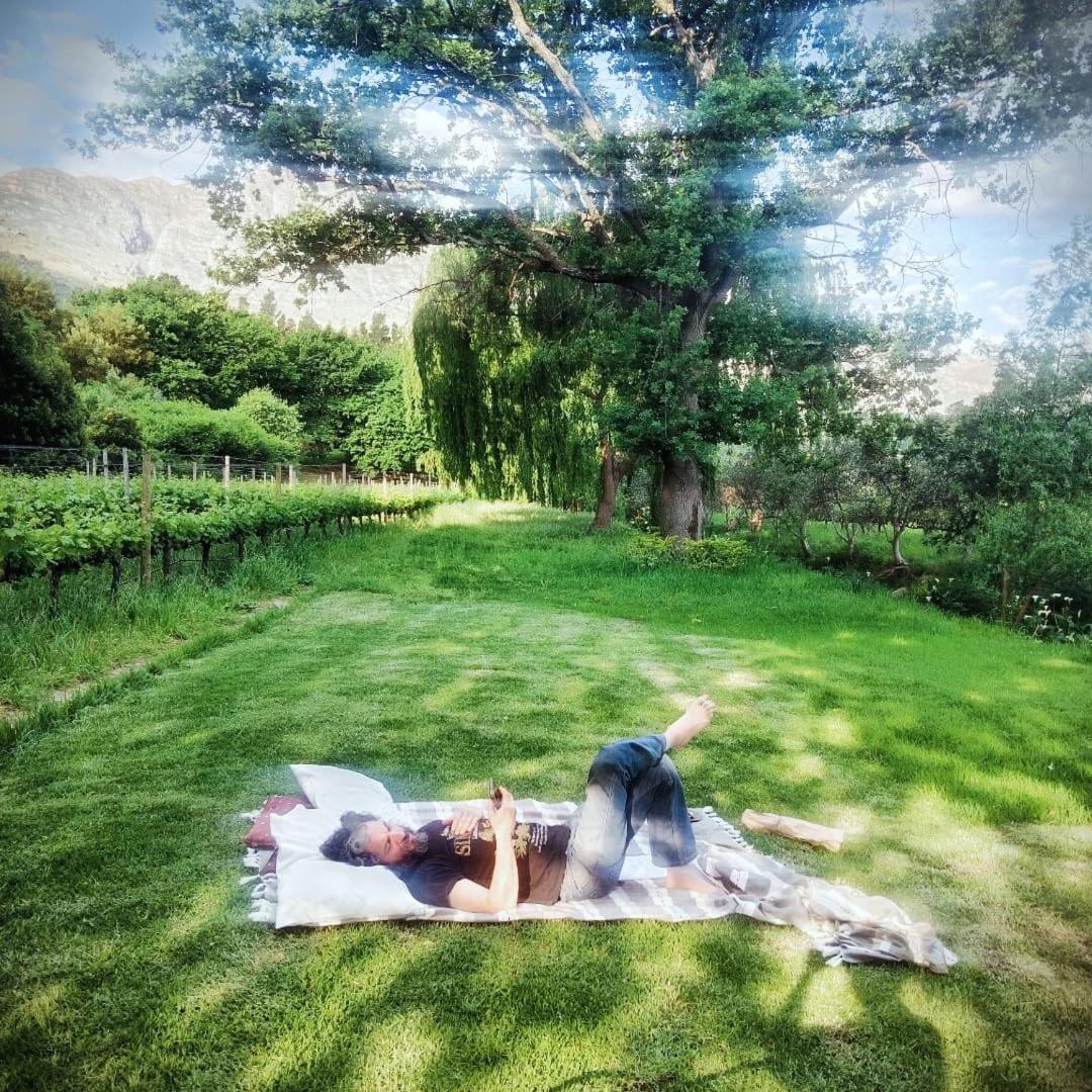 Cabernet Cottage Be Still And Know Franschhoek Bagian luar foto
