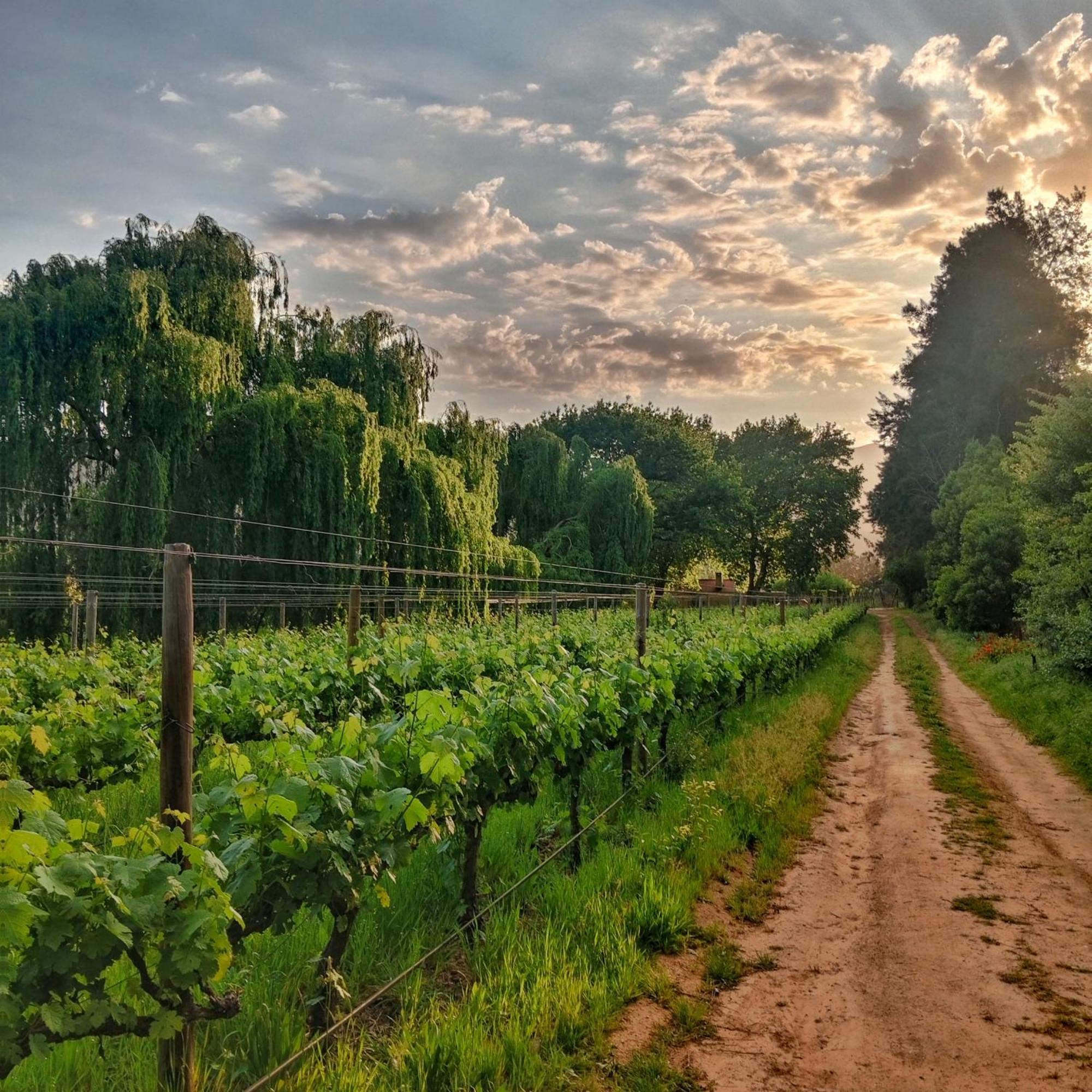 Cabernet Cottage Be Still And Know Franschhoek Bagian luar foto